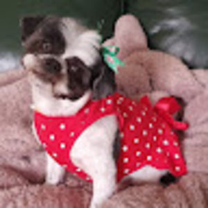 Meet your Posher, Leanne